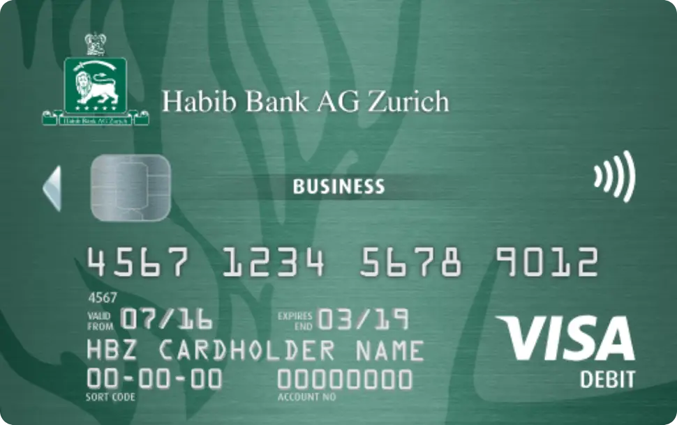 Visa Classic Business Debit Card